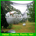 Filet de pommier / Agriculture Apple Tree Anti Hail Net